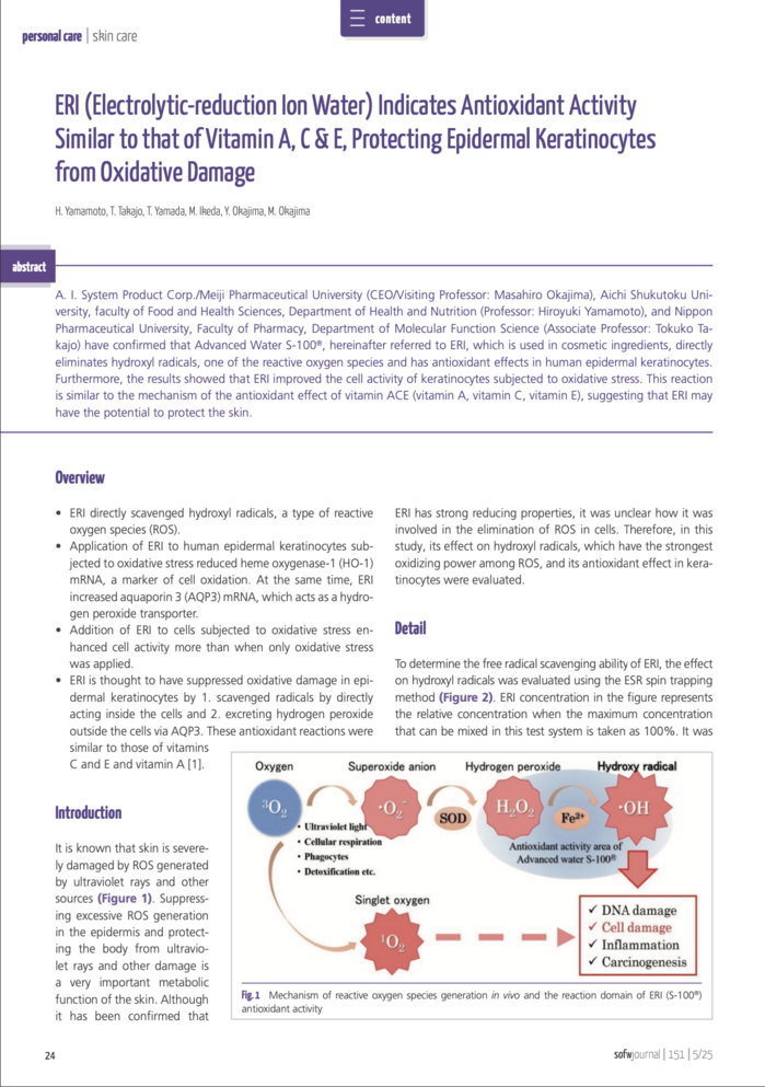 SOFW_202505_S-100_title.png